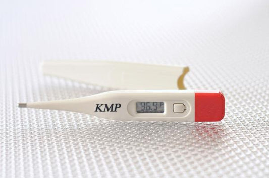 Digital Thermometer Oral/Rectal, 1/Ea