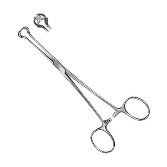 Babcock Tissue Forceps, 8" Standard Line, Each