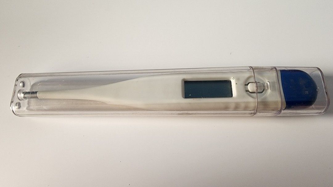 Digital Thermometer w/Case, 1/ea