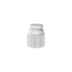 Female Luer Lock Cap, 50/Box