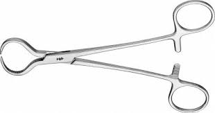 Lewin Bone Holding Forceps, 7 1/8" Slightly Curved, Each