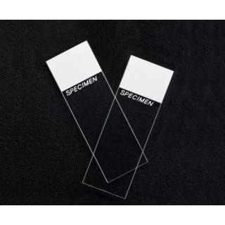 Superfrost Microscope Slides 75mm x 25mm 72/Pack