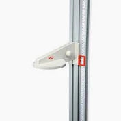 Seca 222 Telescopic Wall-Mounted Measuring Rod cm/In Slide,Each