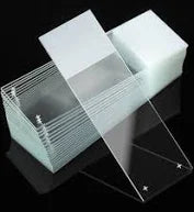 Microscope Slide White Edge Superfrost Plus Glass 1mm, Sterile, 50/Box