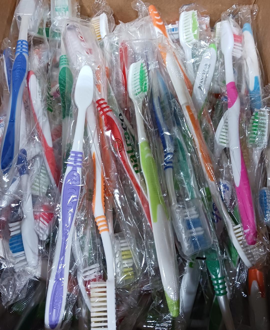 Toothbrush, Adult, Assorted Generic, Individually Wrapped, 100/Box